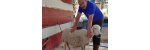 AYYILDIZ Konya Adak Kurban adakçı Adaklı Koyun Fiyatları